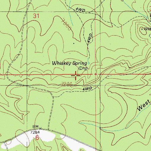 Topographic Map of Whiskey Spring, AZ