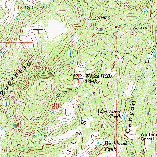 Topographic Map of White Hills Tank, AZ