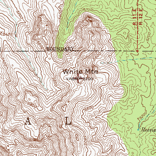 Topographic Map of White Mountain, AZ