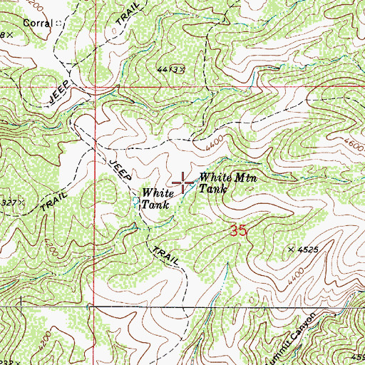 Topographic Map of White Mountain Tank, AZ
