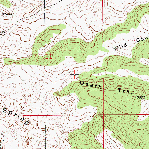 Topographic Map of Wild Cow Canyon, AZ