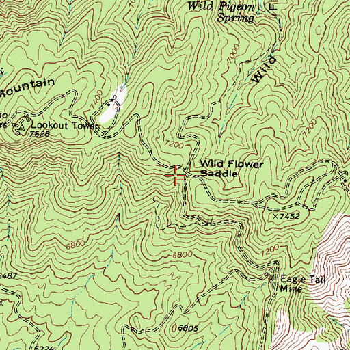 Topographic Map of Wild Flower Saddle, AZ