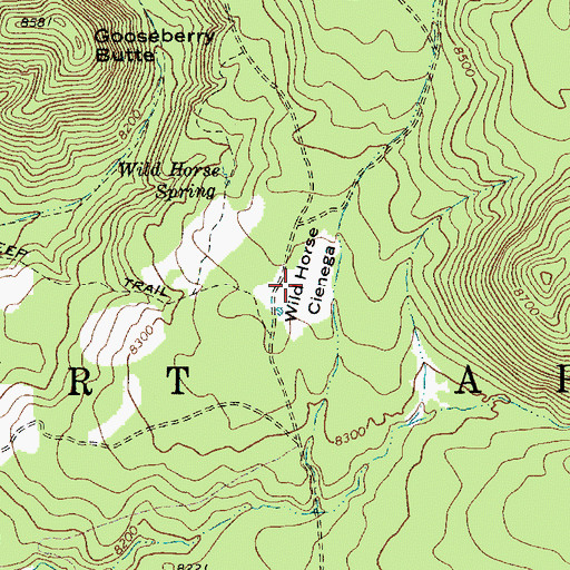 Topographic Map of Wild Horse Cienega, AZ