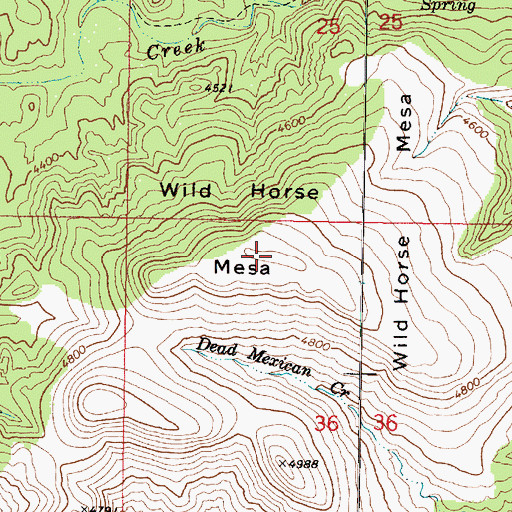 Topographic Map of Wild Horse Mesa, AZ