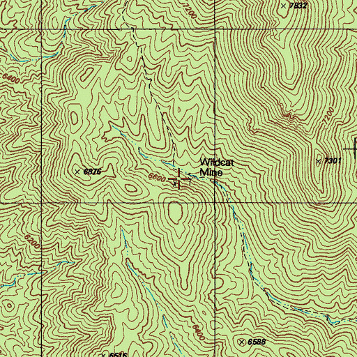 Topographic Map of Wildcat Mine, AZ