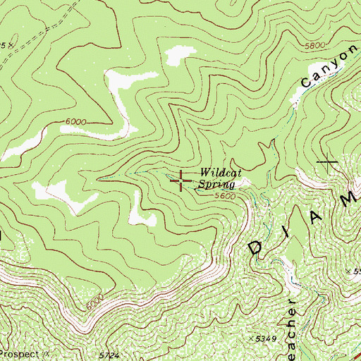 Topographic Map of Wildcat Spring, AZ