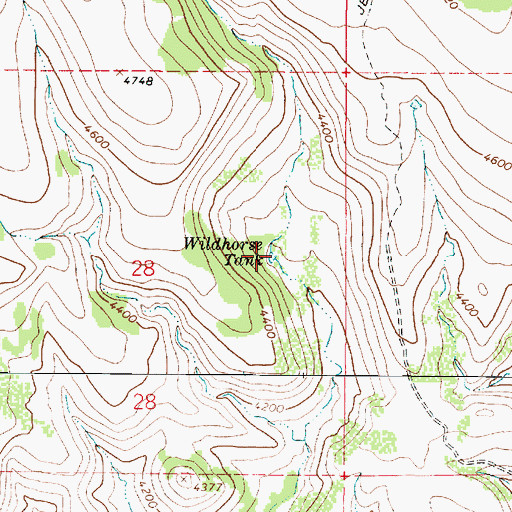 Topographic Map of Wildhorse Tank, AZ