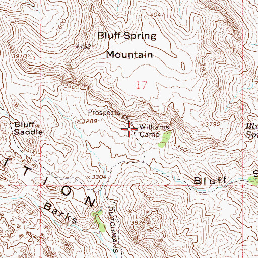 Topographic Map of Williams Camp, AZ