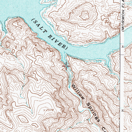 Topographic Map of Willow Springs Canyon, AZ