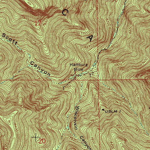 Topographic Map of Wisconsin Canyon, AZ