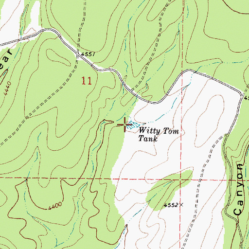 Topographic Map of Witty Tom Tank, AZ