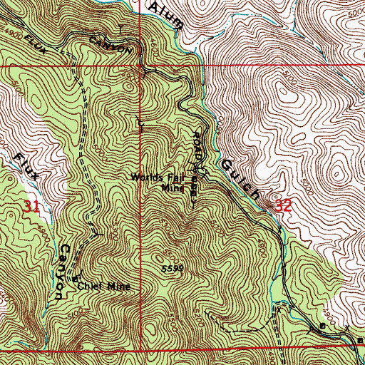 Topographic Map of Worlds Fair Mine, AZ