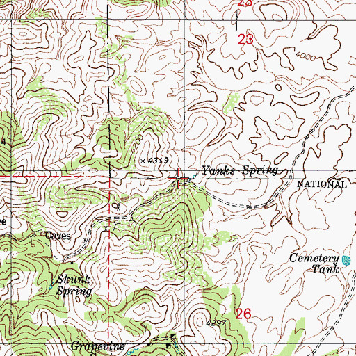 Topographic Map of Yanks Spring, AZ