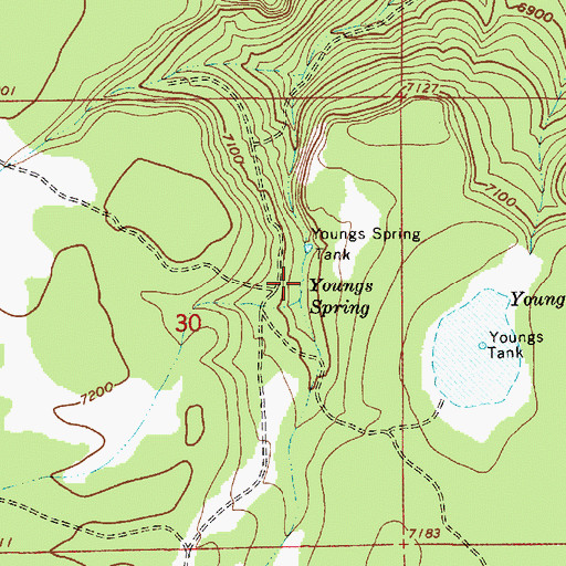 Topographic Map of Youngs Spring, AZ