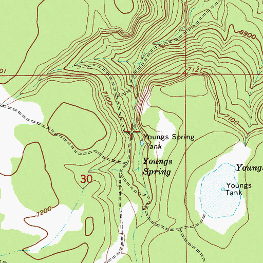 Topographic Map of Youngs Spring Tank, AZ
