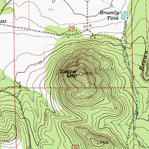 Topographic Map of Ziegler Mountain, AZ