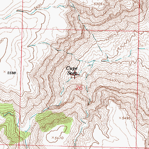 Topographic Map of Cupe Seep, AZ