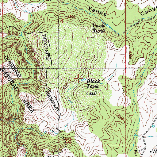 Topographic Map of Black Tank, AZ
