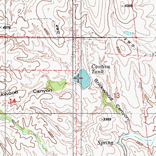 Topographic Map of Cautiva Tank, AZ