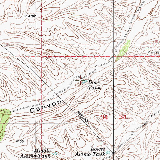 Topographic Map of Dove Tank, AZ