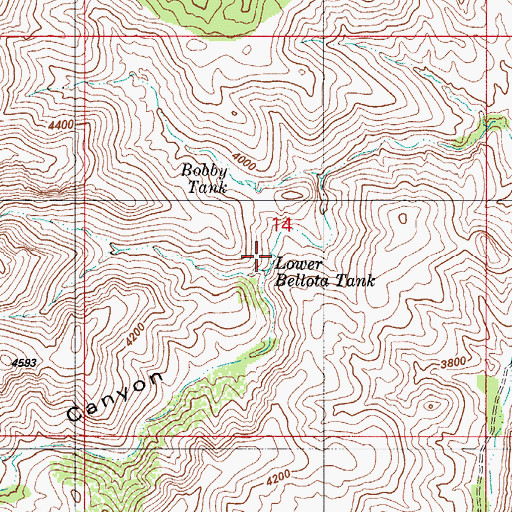 Topographic Map of Lower Bellota Tank, AZ
