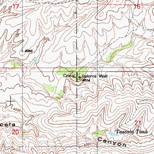 Topographic Map of Paloma Well, AZ