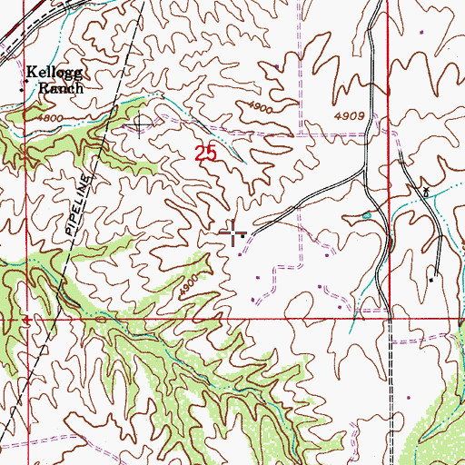 Topographic Map of Papago Springs Ranch, AZ