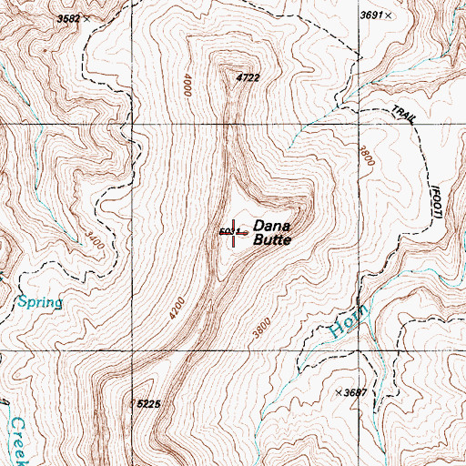 Topographic Map of Dana Butte, AZ