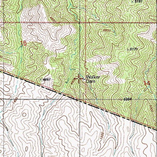Topographic Map of Walker Dam, AZ
