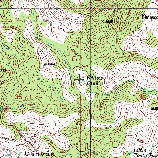 Topographic Map of Willow Tank, AZ