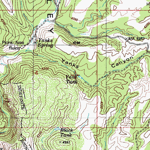 Topographic Map of Yank Tank, AZ