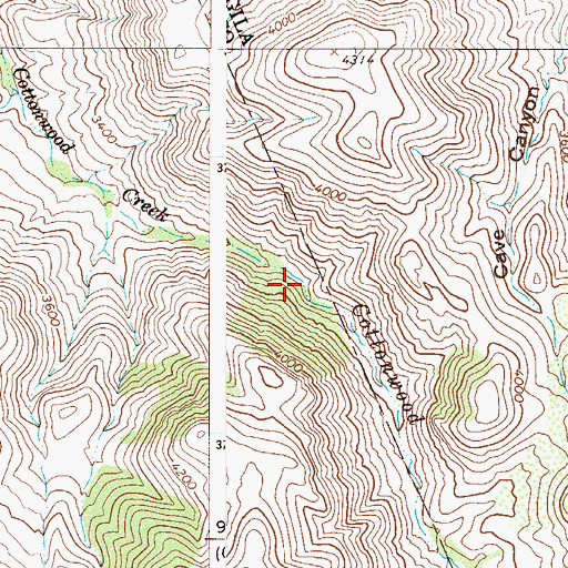 Topographic Map of Cottonwood Spring, AZ