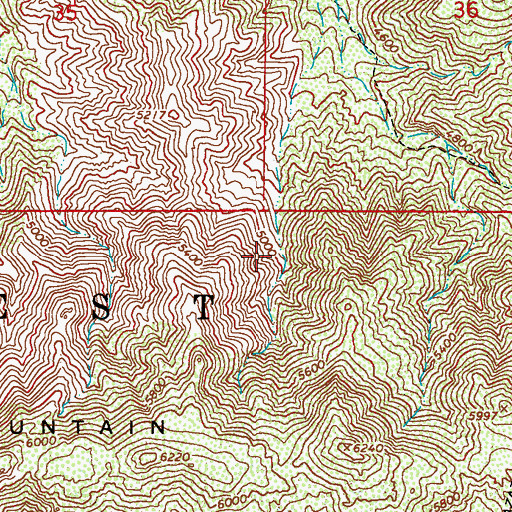 Topographic Map of Steer Spring, AZ
