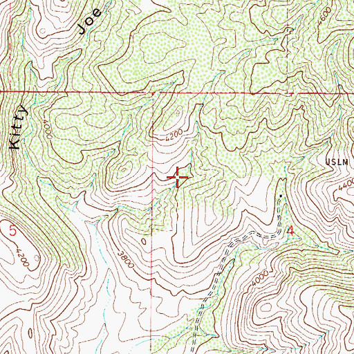 Topographic Map of Whiskey Spring, AZ
