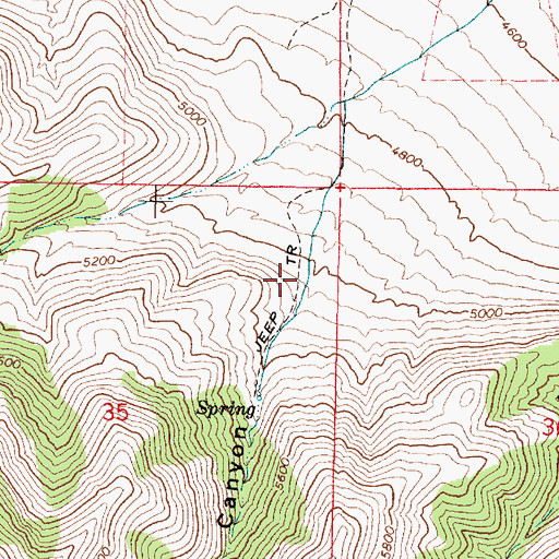 Topographic Map of Aldridge Canyon, ID