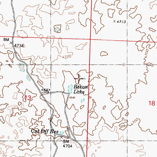 Topographic Map of Bacon Lake, ID