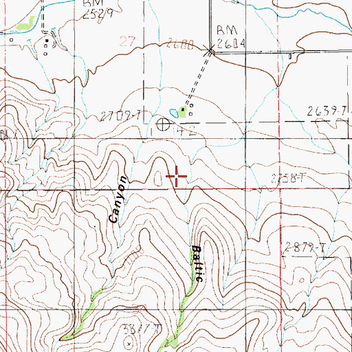 Topographic Map of Baltic Canyon, ID