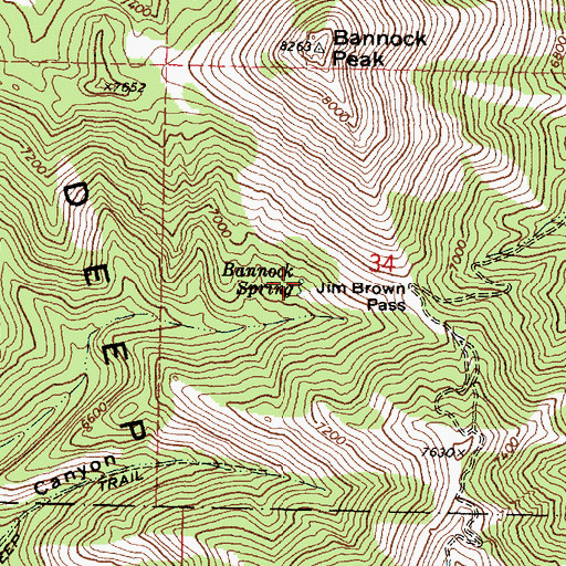 Topographic Map of Bannock Spring, ID