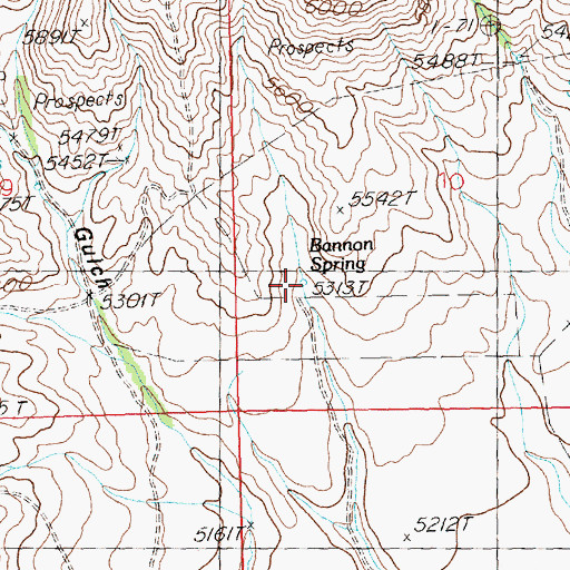 Topographic Map of Bannon Spring, ID