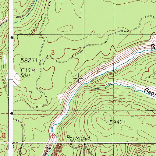 Topographic Map of Bear Creek, ID