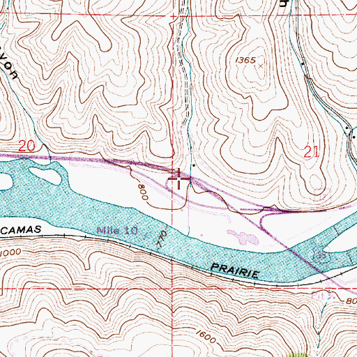 Topographic Map of Beardy Gulch, ID