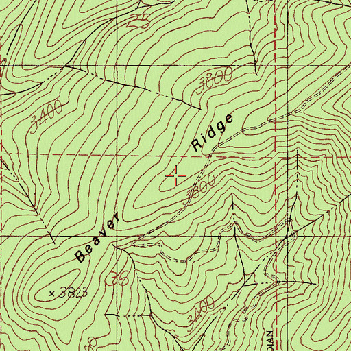 Topographic Map of Beaver Ridge, ID