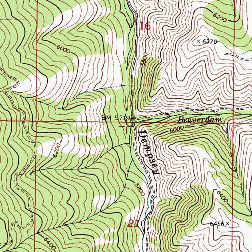Topographic Map of Beaverdam Creek, ID