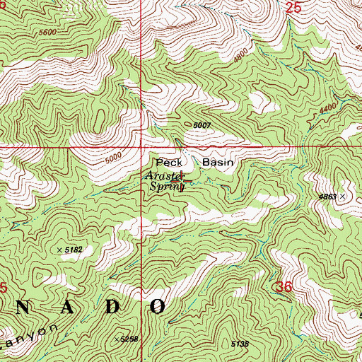 Topographic Map of Araster Spring, AZ