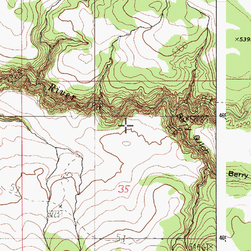 Topographic Map of Berry Gulch, ID