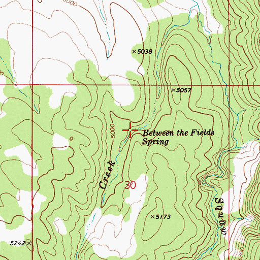 Topographic Map of Between the Fields Spring, ID