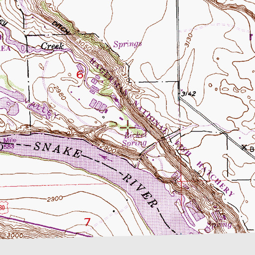 Topographic Map of Bickel Spring, ID