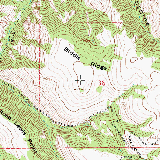 Topographic Map of Biddle Ridge, ID