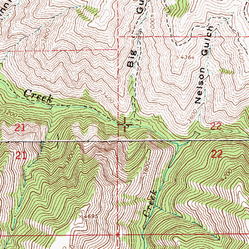 Topographic Map of Big Gulch, ID