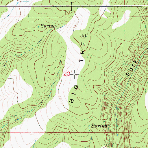 Topographic Map of Big Tree, ID